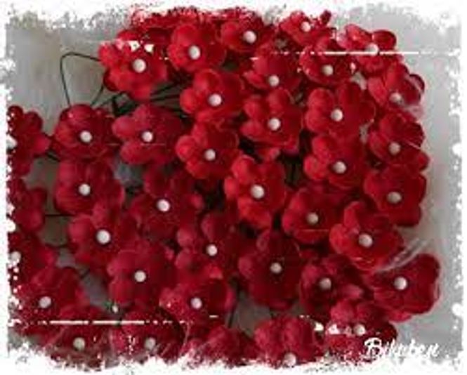 Hovedbilde Papirdesign-Røde Søte blomster-SB5