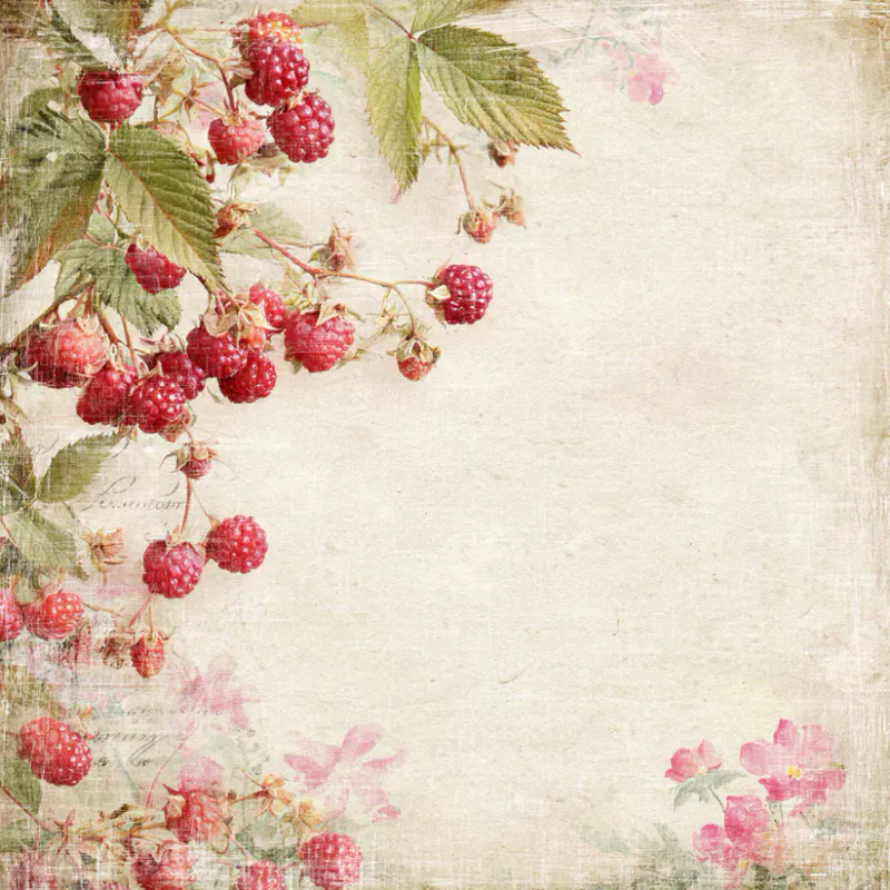 Reprint - Summer Garden Collection - 6x6 inch 