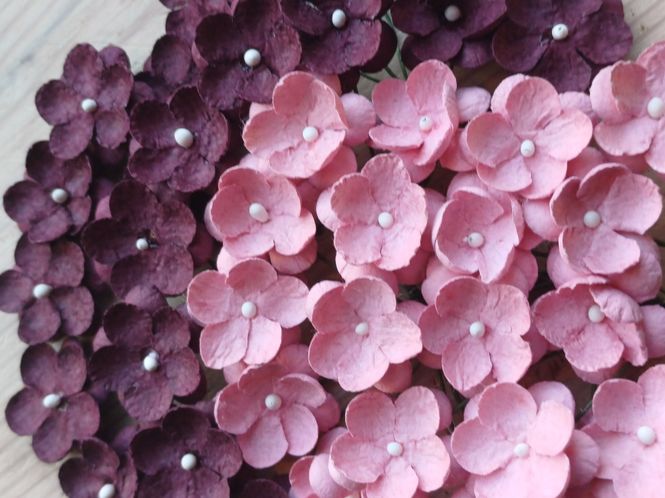 Hovedbilde Papirdesign- søte små Blomster- lys og mørk rosa ...