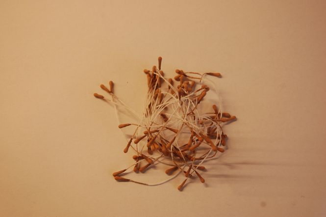 Hovedbilde Støvbærer Mocca SHS06