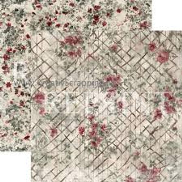 Xmas-Flower Fens fra Reprint