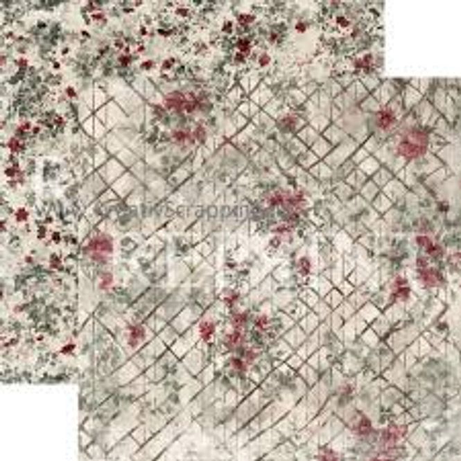 Hovedbilde Xmas-Flower Fens fra Reprint