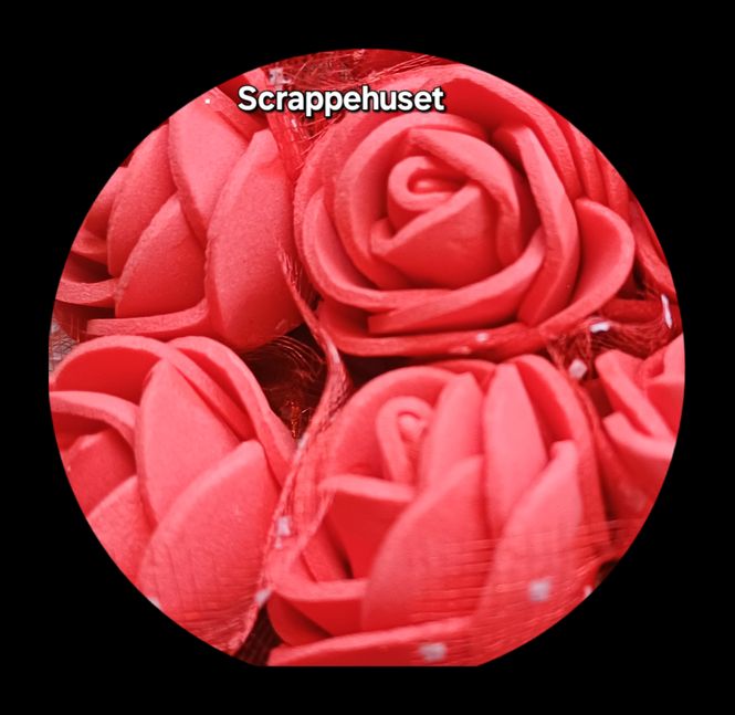 Hovedbilde Røde Roser med Slør og Stilk - SH71