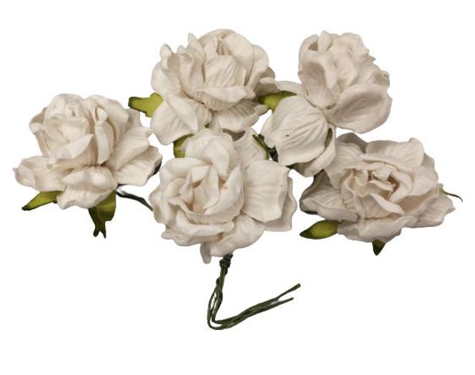 Hovedbilde HVITE, XXXL ROSER. 5 STK - SH44