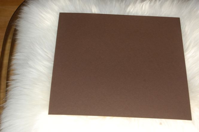 Hovedbilde Kartong-Mørk brun-uten struktur--12x12 inch-SHK16