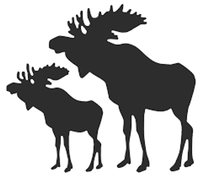 Hovedbilde Dies-Elg  fra Scrapmagasinet