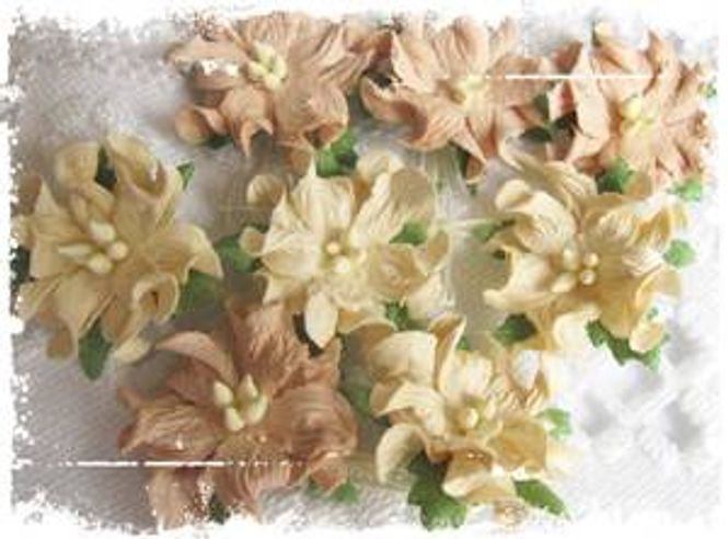 Hovedbilde Papirdesign-Små gardenia- Beige