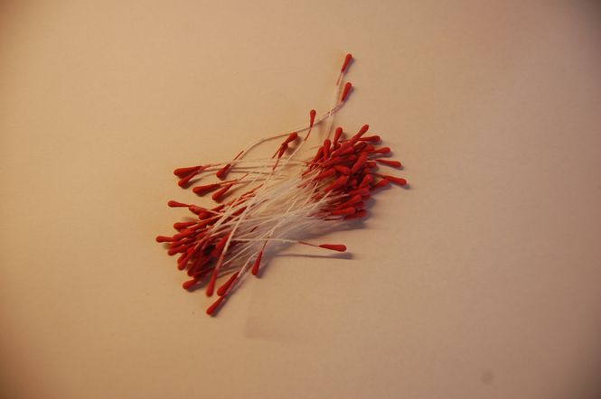 Hovedbilde Støvbærer Cerisse - SHS09