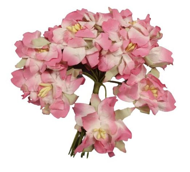 Hovedbilde HVITE M ROSA KANTER, BLOMSTER 12 STK-SH100