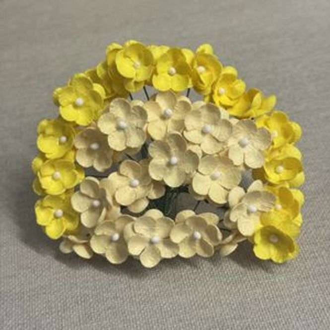 Hovedbilde Papirdesign-Søte blomster- gul -sb4