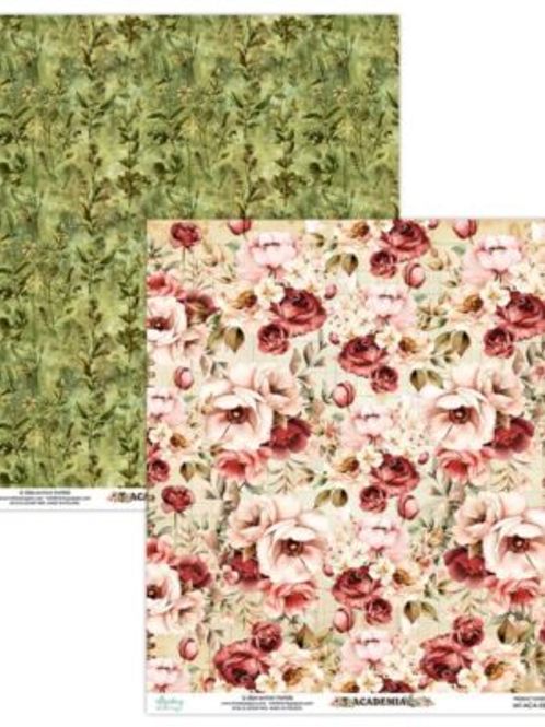 Hovedbilde Academia 05 fra Mintay